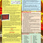 Electronic Bingo Machine